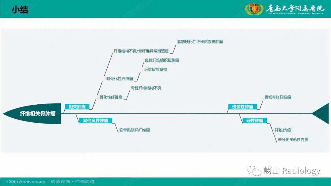 影像PPT - 【PPT】纤维命名相关骨肿瘤和肿瘤样病变的影像学鉴别诊断-44
