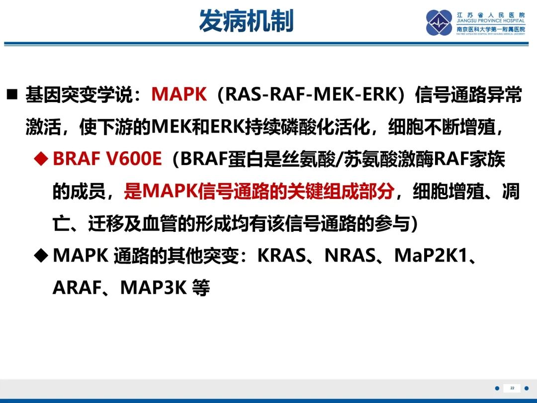 影像PPT - 【PPT】Erdheim-Chester病-23