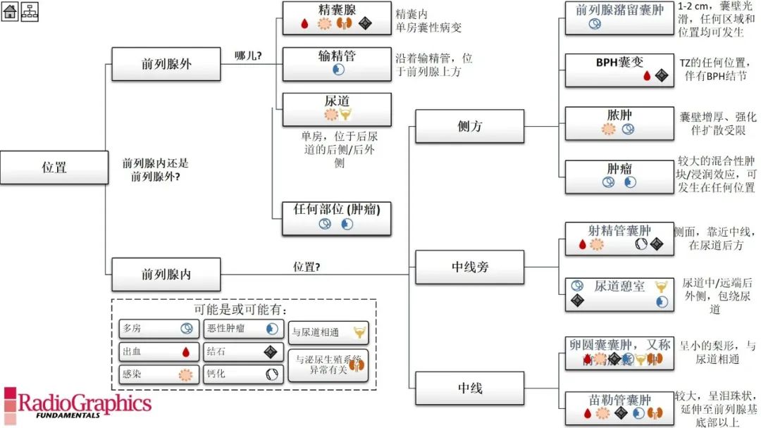 影像PPT - 【PPT】男性盆腔囊肿的影像诊断方法-32
