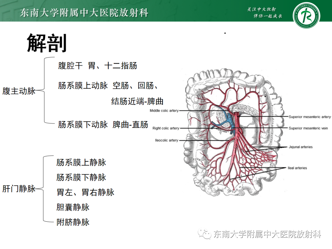 影像PPT - 【PPT】急性肠系膜缺血-4 影像PPT - 【PPT】急性肠系膜缺血-4