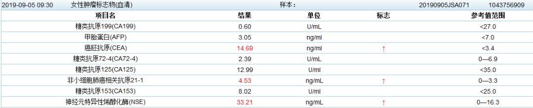 影像PPT - 中央型小细胞肺癌CT与病理对照-1 影像PPT - 中央型小细胞肺癌CT与病理对照-1