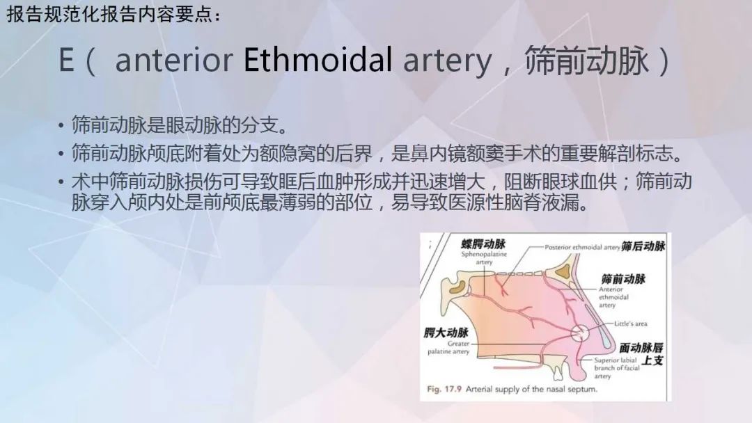 影像PPT - 【PPT】鼻窦CT评估与结构式报告-42