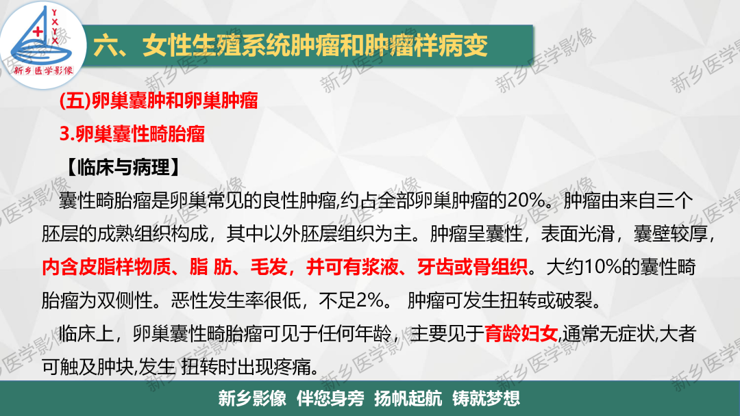 影像PPT - 【PPT】卵巢肿瘤的影像表现-14