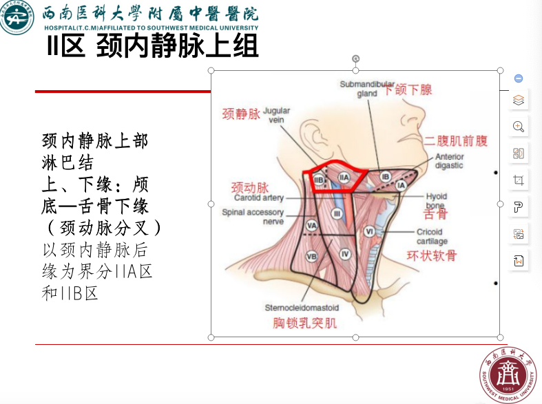 影像PPT - 【PPT】颈部淋巴结分区-12