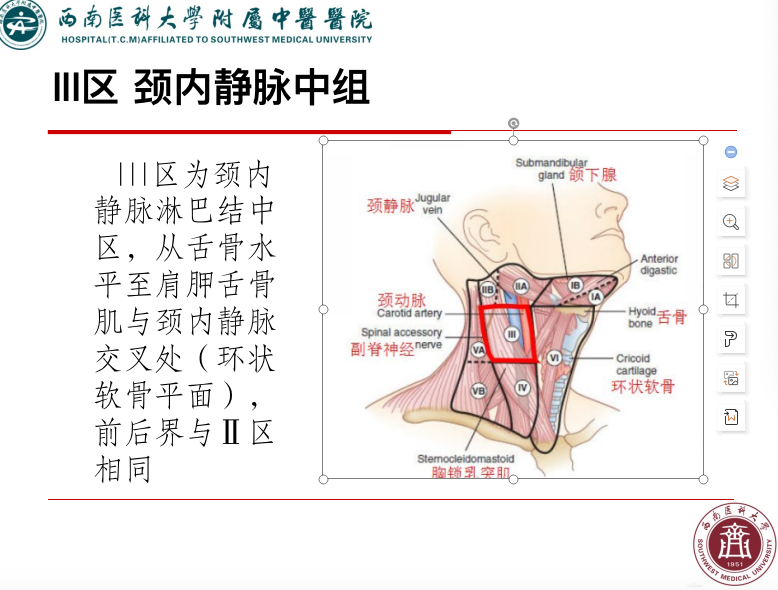 影像PPT - 【PPT】颈部淋巴结分区-15