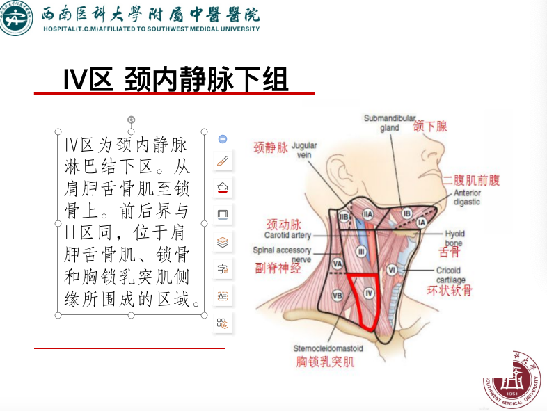 影像PPT - 【PPT】颈部淋巴结分区-18