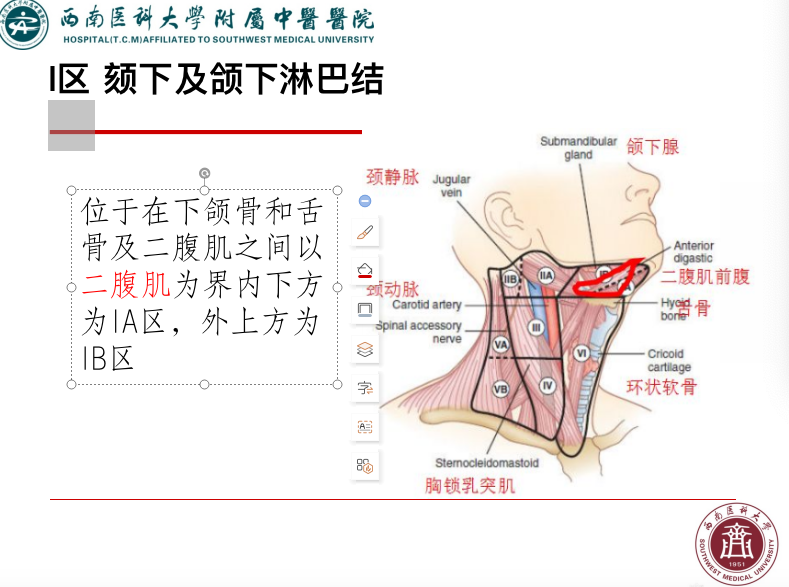 影像PPT - 【PPT】颈部淋巴结分区-9