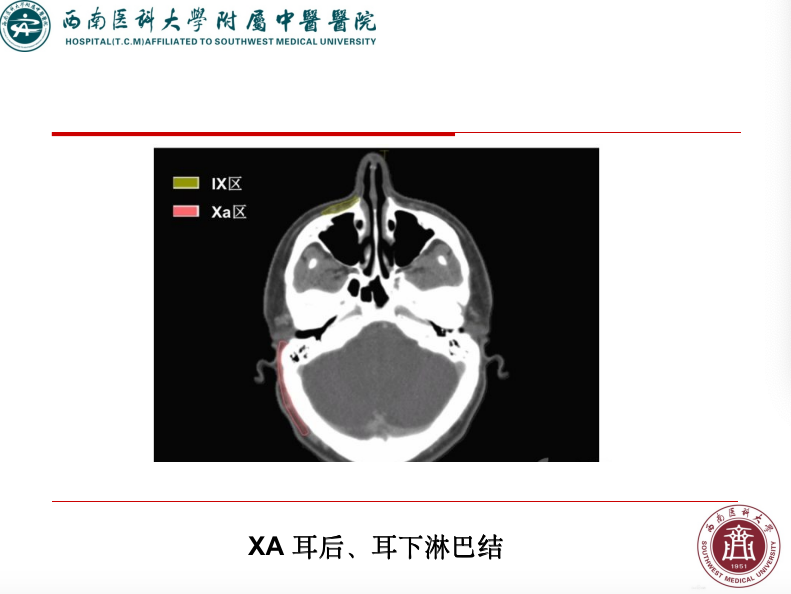 影像PPT - 【PPT】颈部淋巴结分区-32
