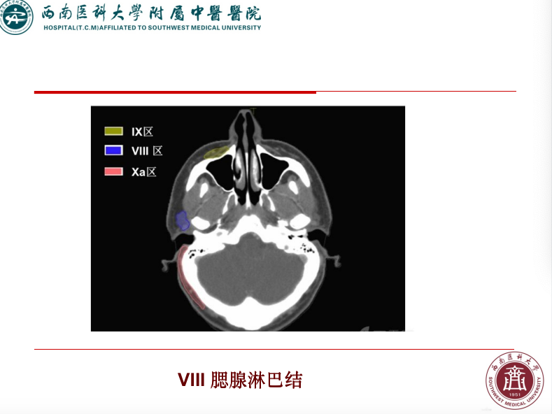 影像PPT - 【PPT】颈部淋巴结分区-34