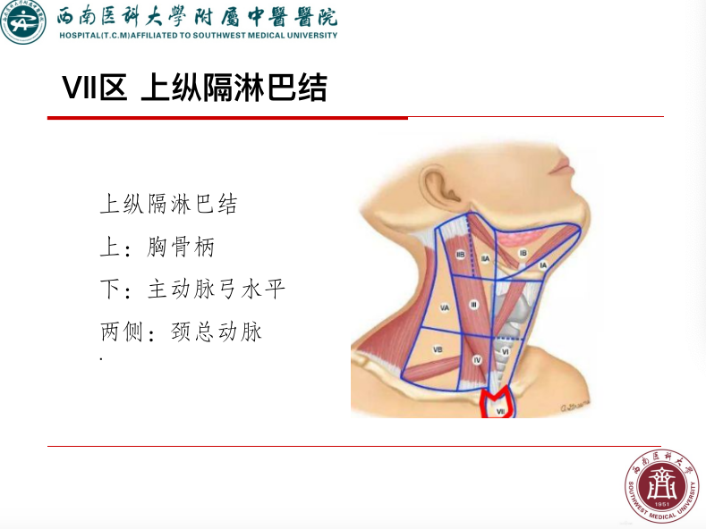 影像PPT - 【PPT】颈部淋巴结分区-29