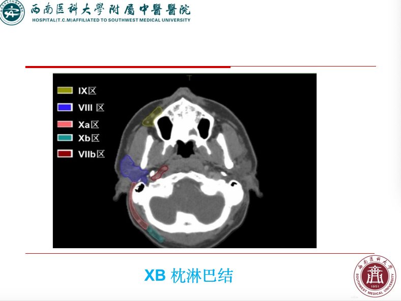 影像PPT - 【PPT】颈部淋巴结分区-36
