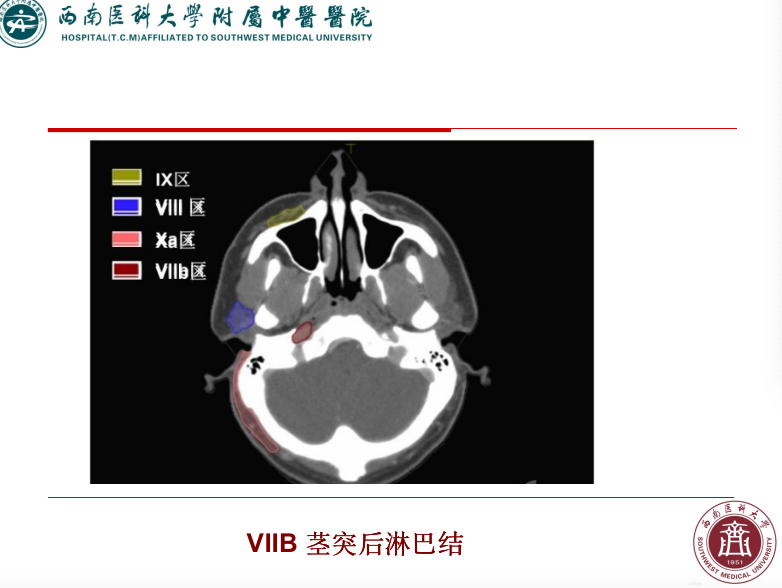 影像PPT - 【PPT】颈部淋巴结分区-35