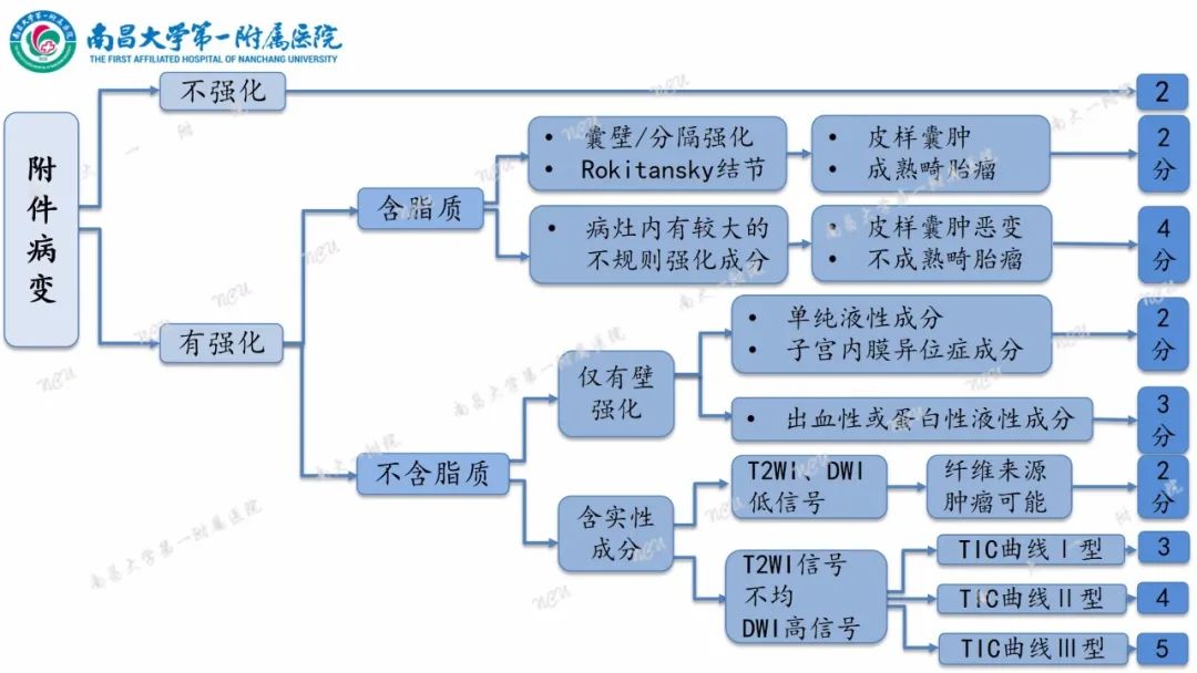 影像PPT - 【PPT】卵巢-附件病变O-RADS MRI评分-24