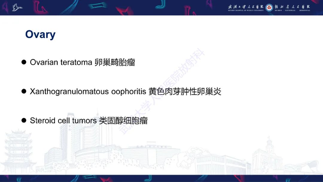 影像PPT - 【PPT】女性盆腔含脂肪病变影像诊断-2
