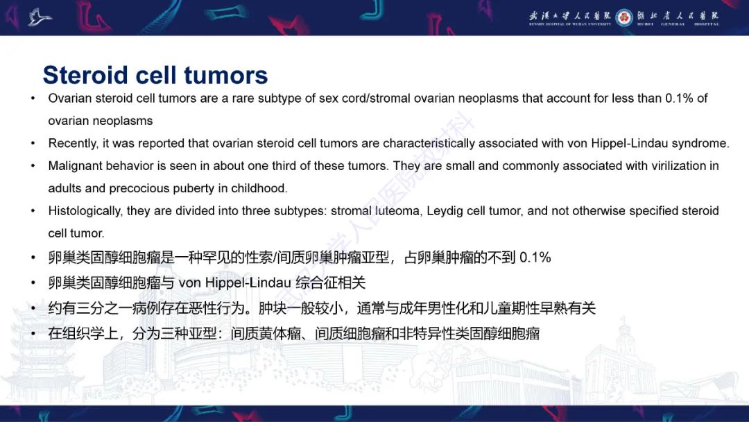 影像PPT - 【PPT】女性盆腔含脂肪病变影像诊断-13
