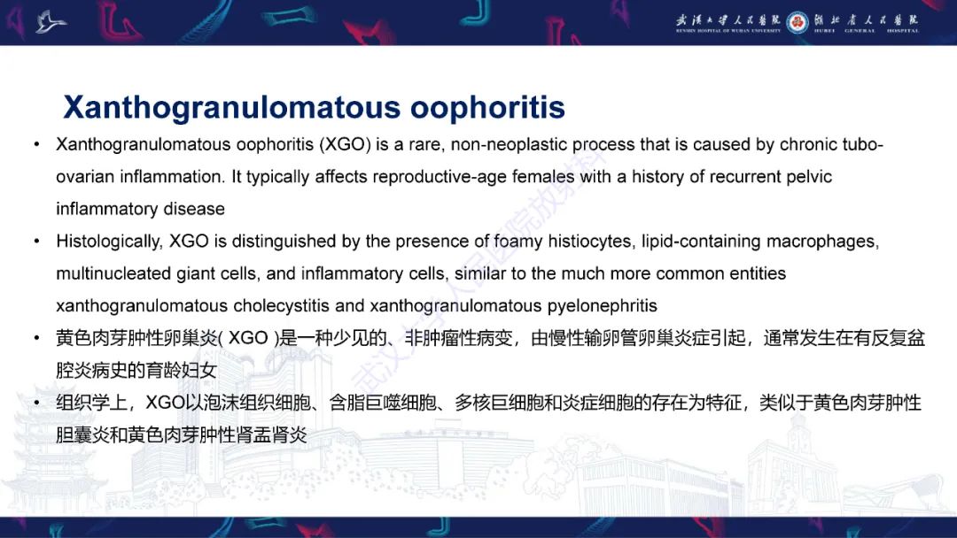 影像PPT - 【PPT】女性盆腔含脂肪病变影像诊断-10
