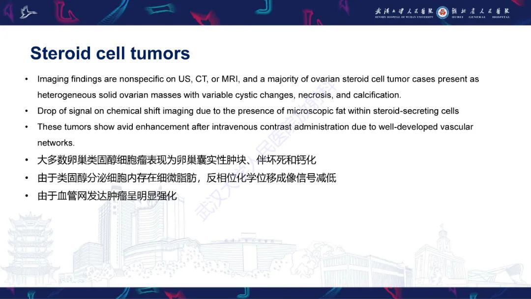 影像PPT - 【PPT】女性盆腔含脂肪病变影像诊断-14