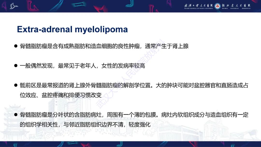 影像PPT - 【PPT】女性盆腔含脂肪病变影像诊断-25