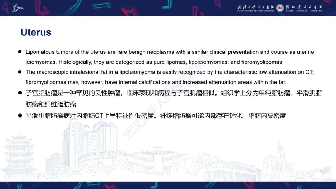 影像PPT - 【PPT】女性盆腔含脂肪病变影像诊断-16