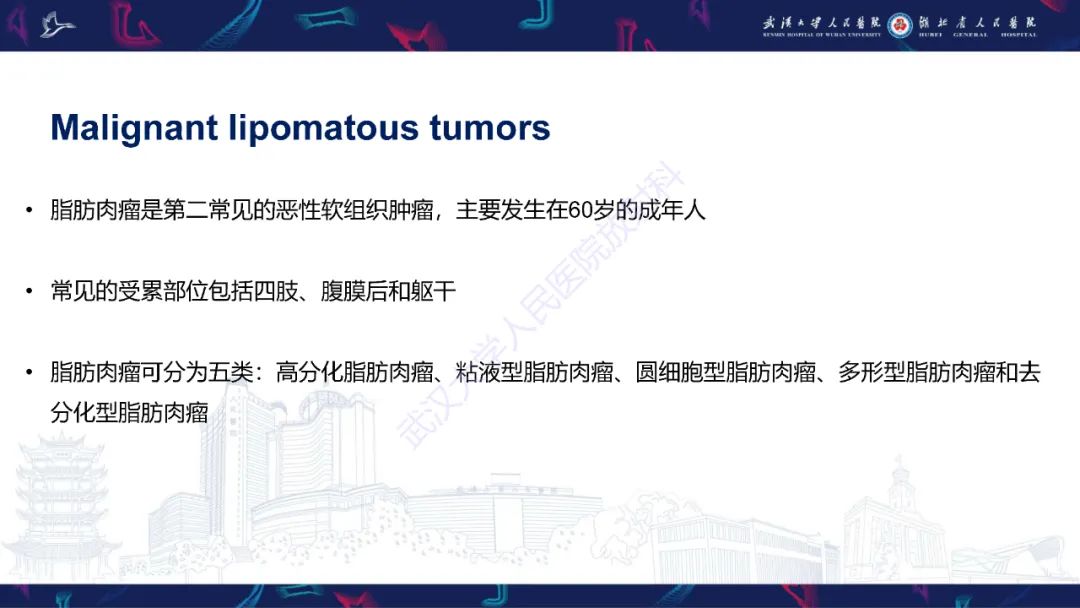 影像PPT - 【PPT】女性盆腔含脂肪病变影像诊断-22