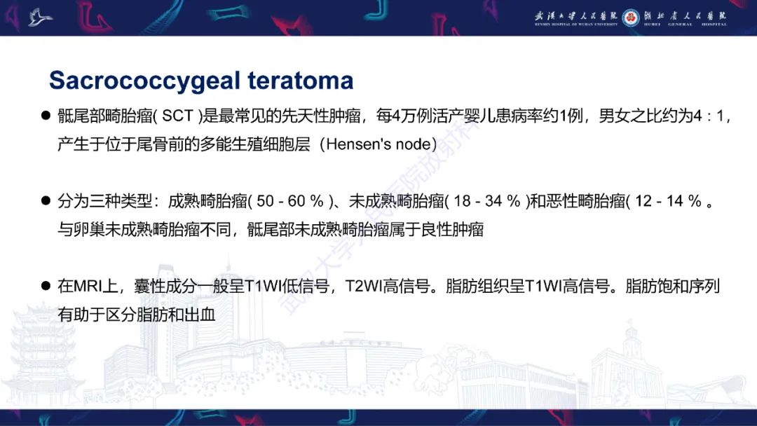 影像PPT - 【PPT】女性盆腔含脂肪病变影像诊断-30