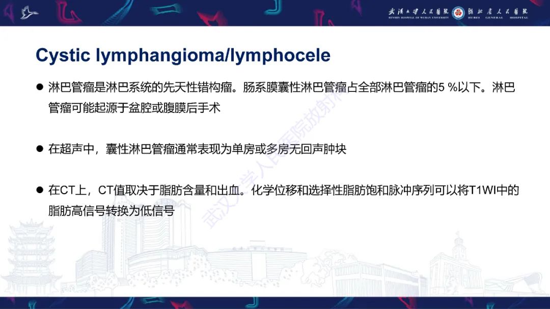 影像PPT - 【PPT】女性盆腔含脂肪病变影像诊断-32