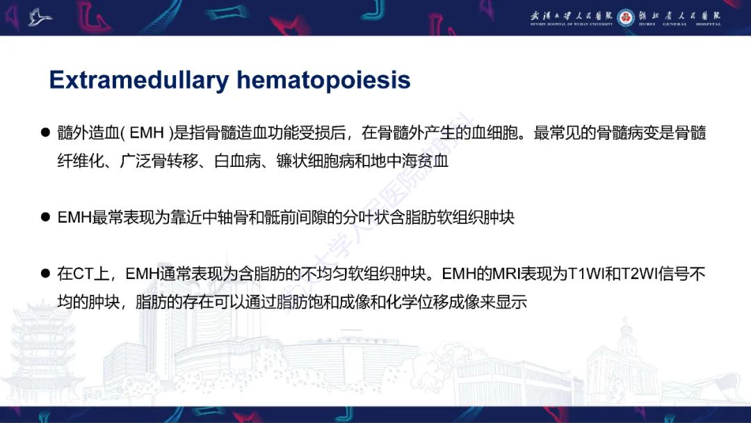 影像PPT - 【PPT】女性盆腔含脂肪病变影像诊断-28