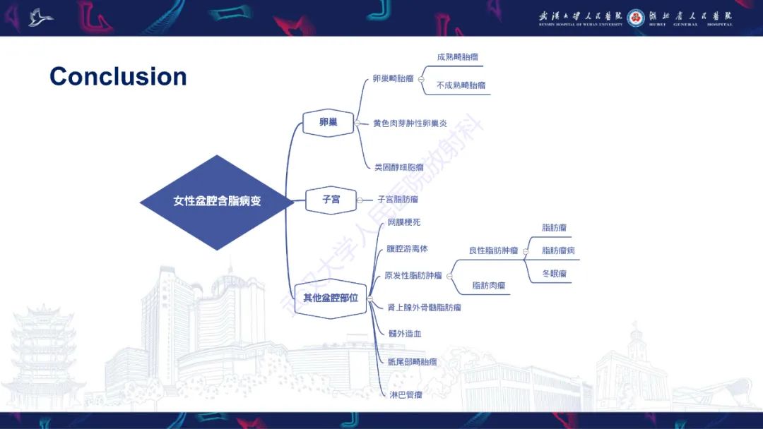 影像PPT - 【PPT】女性盆腔含脂肪病变影像诊断-33