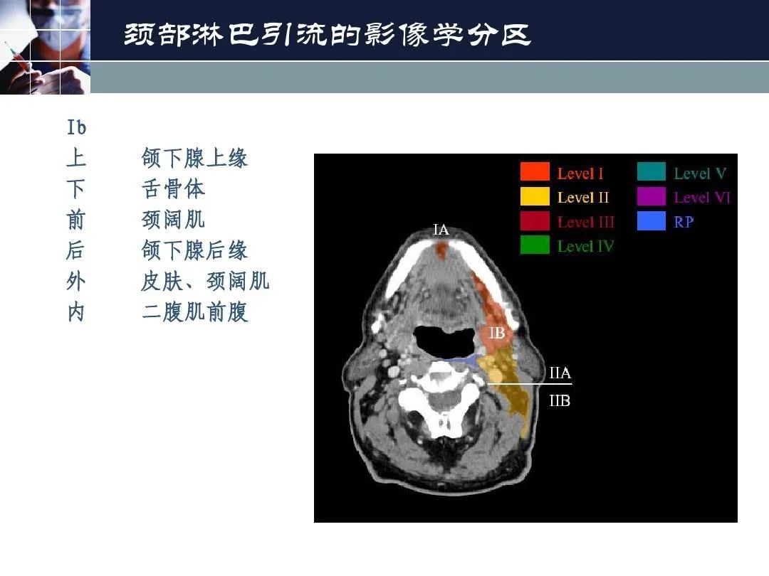 影像PPT - 【PPT】淋巴结引流的断层解剖与影像学分区-8