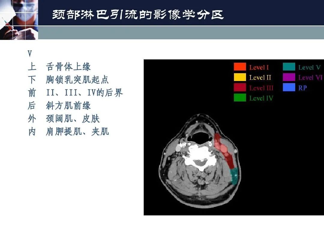 影像PPT - 【PPT】淋巴结引流的断层解剖与影像学分区-10