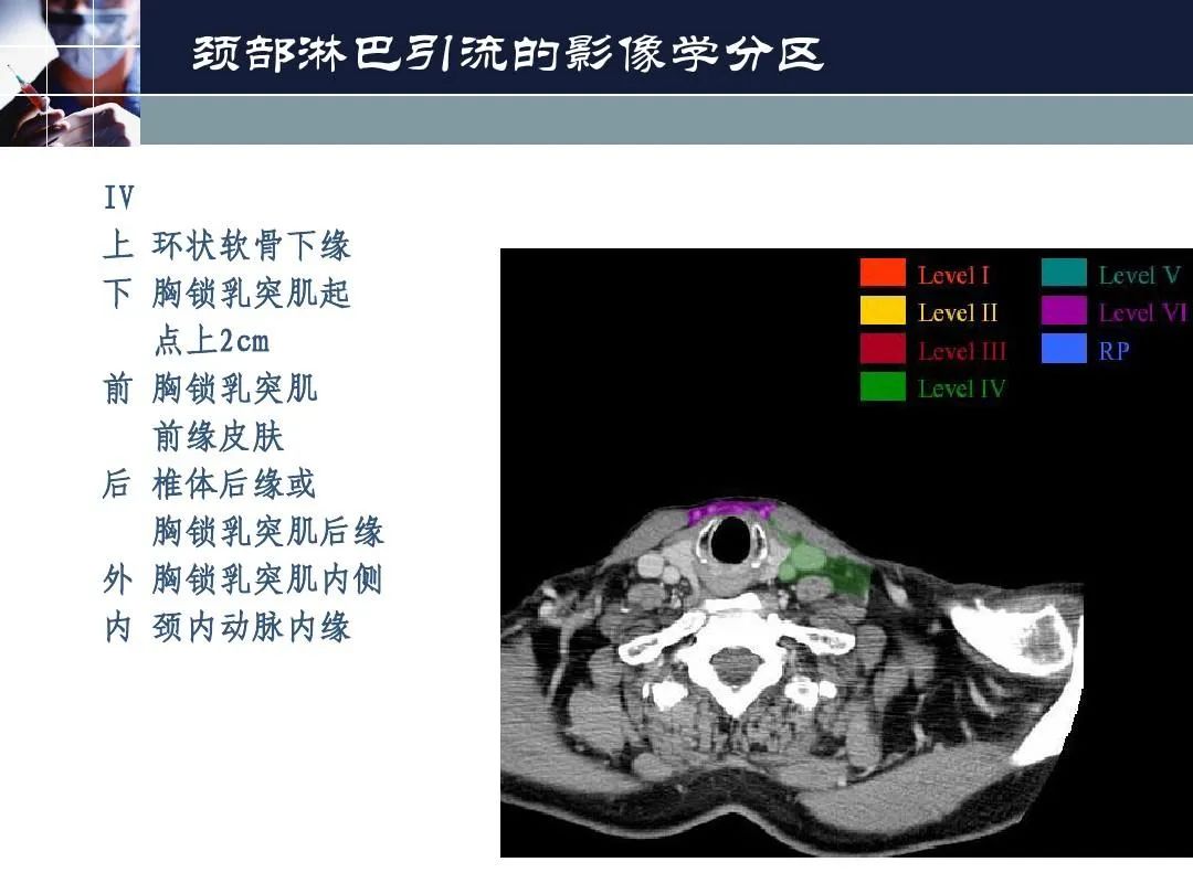 影像PPT - 【PPT】淋巴结引流的断层解剖与影像学分区-11