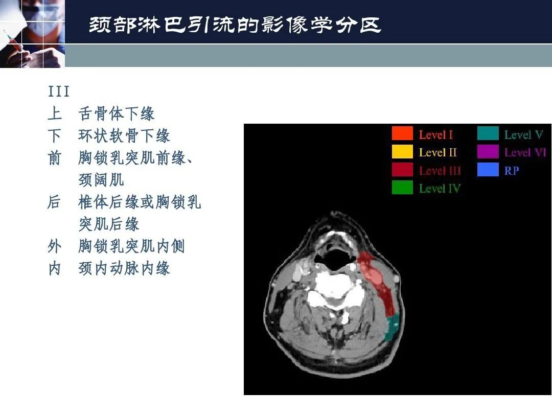 影像PPT - 【PPT】淋巴结引流的断层解剖与影像学分区-9