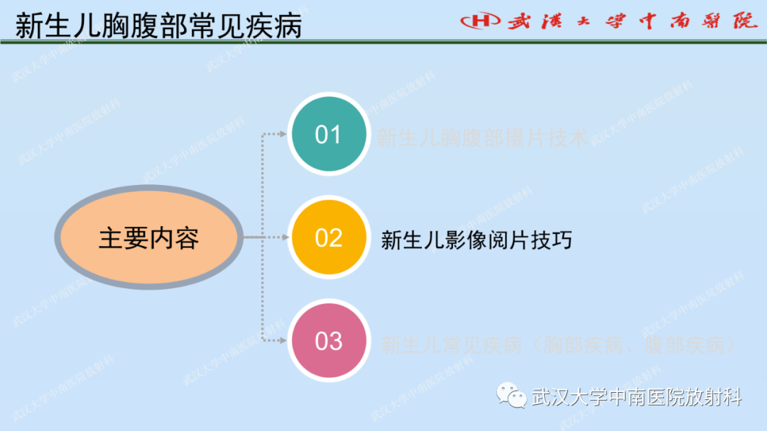 影像PPT - 【PPT】新生儿胸腹部常见疾病影像诊断-5