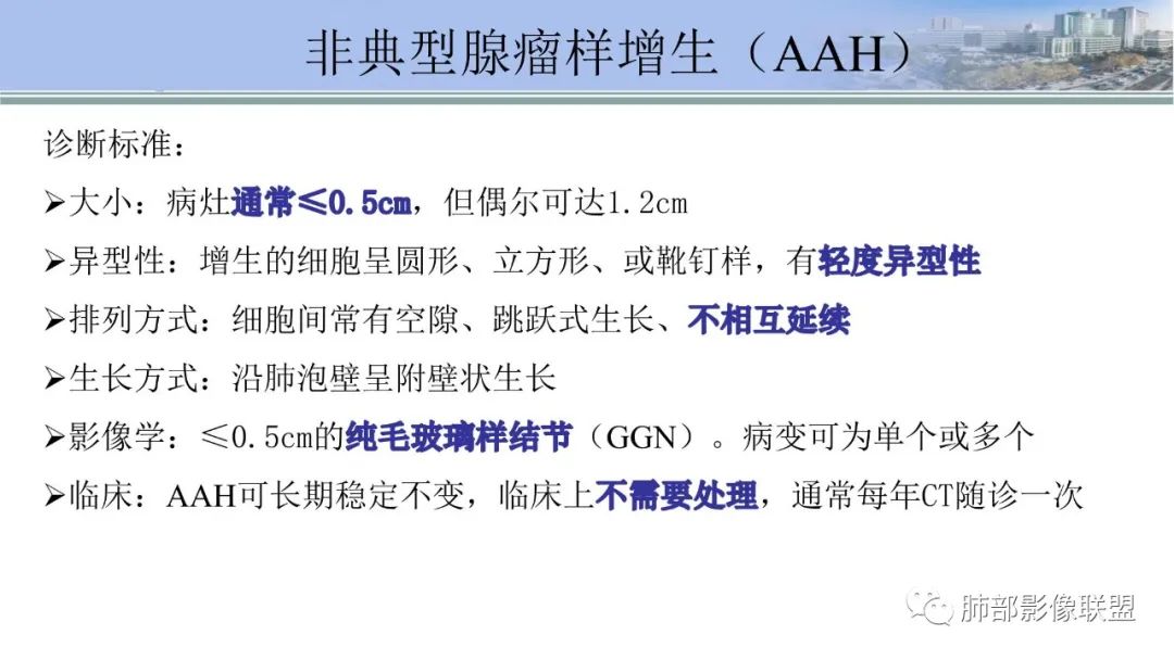 影像PPT - 【PPT】肺腺癌的病理诊断及鉴别诊断要点思考-5