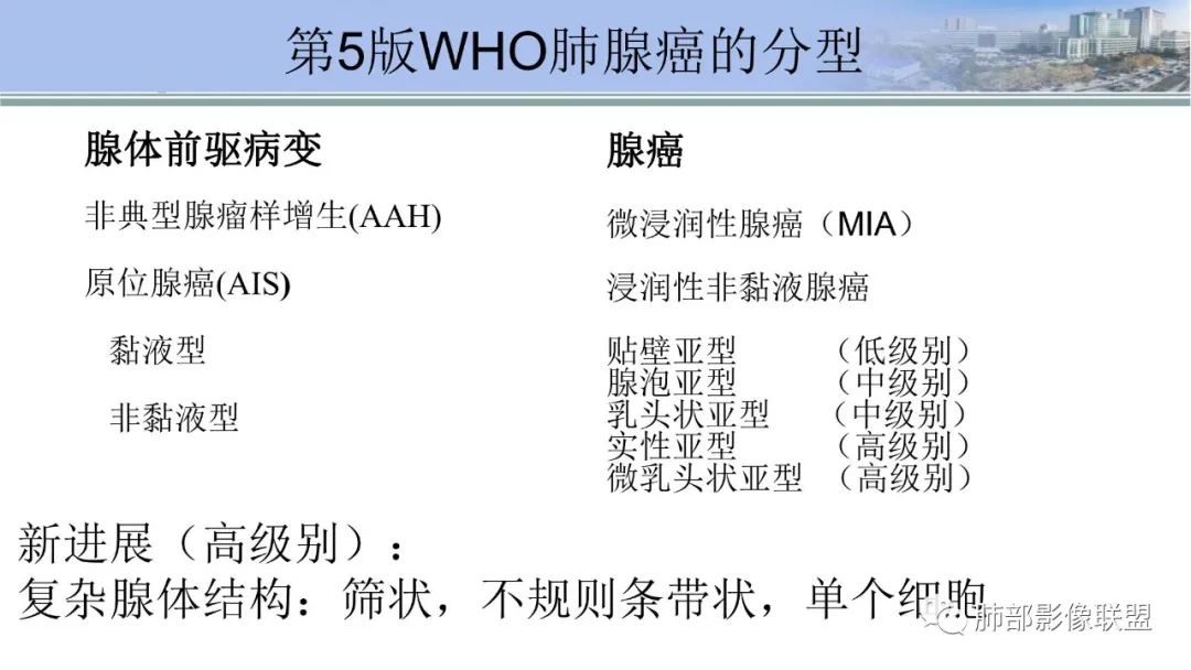 影像PPT - 【PPT】肺腺癌的病理诊断及鉴别诊断要点思考-3