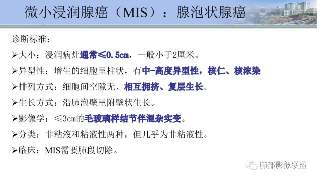 影像PPT - 【PPT】肺腺癌的病理诊断及鉴别诊断要点思考-13