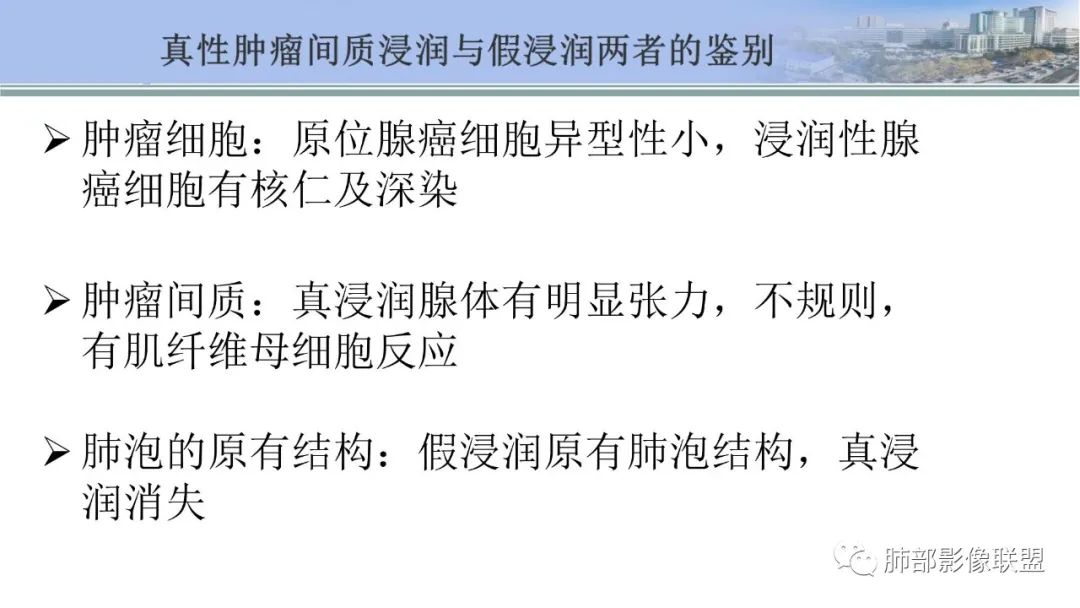影像PPT - 【PPT】肺腺癌的病理诊断及鉴别诊断要点思考-31