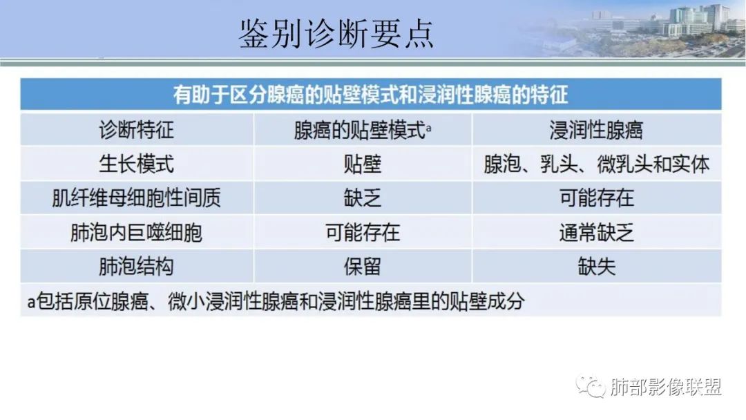 影像PPT - 【PPT】肺腺癌的病理诊断及鉴别诊断要点思考-42