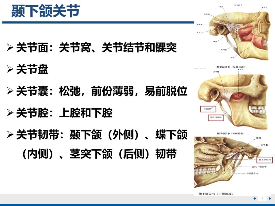 影像PPT - 【PPT】颞下颌关节紊乱病-6