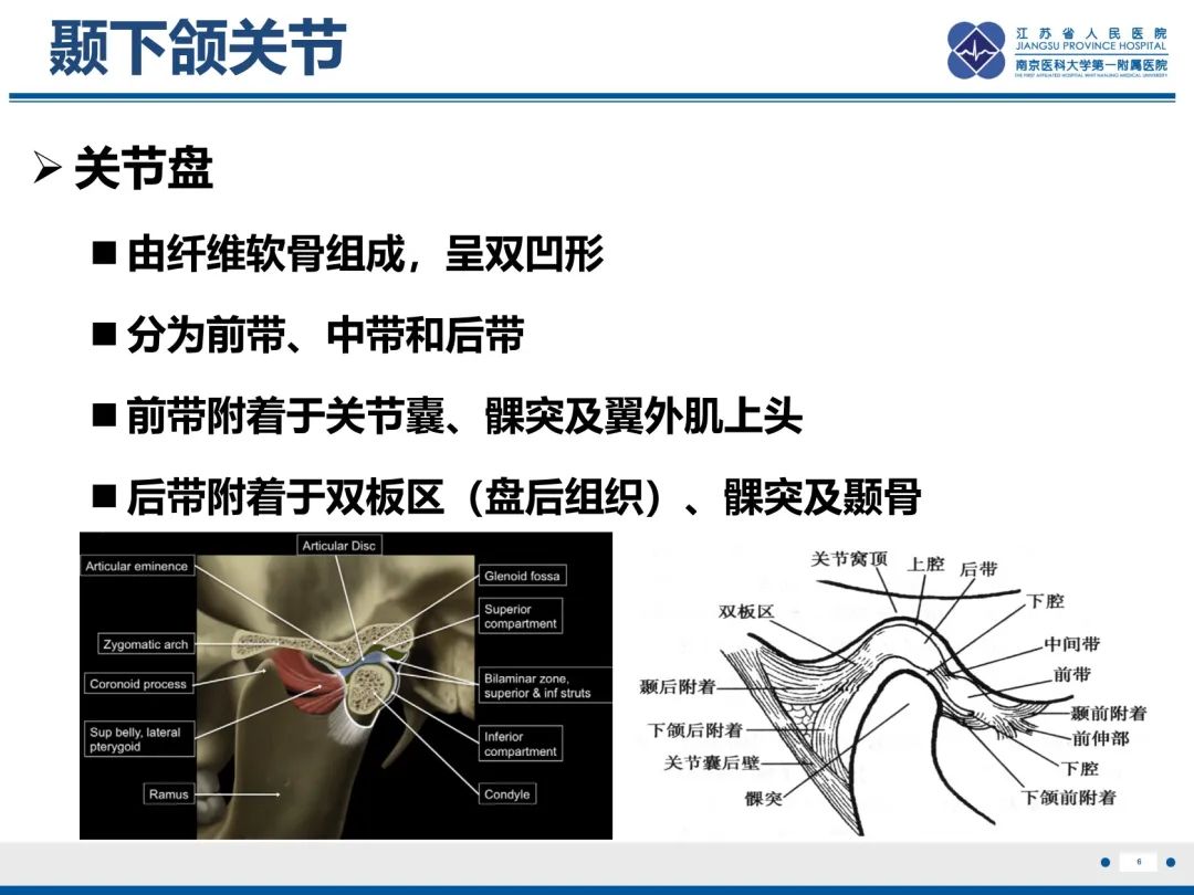影像PPT - 【PPT】颞下颌关节紊乱病-7