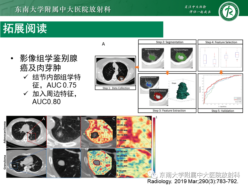 影像PPT - 【PPT】孤立性肺结节影像诊断-42