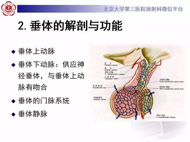 影像PPT - 【PPT】中枢性尿崩症影像诊断-10