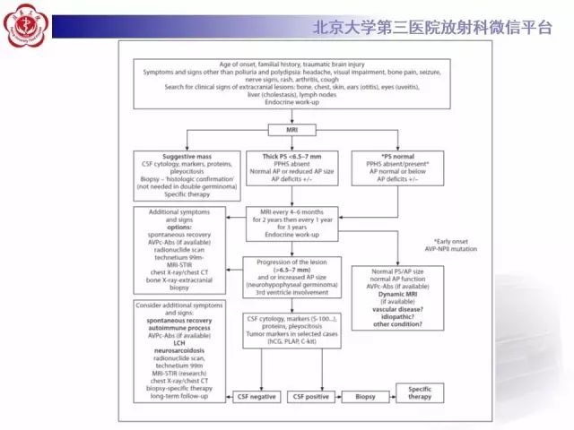 影像PPT - 【PPT】中枢性尿崩症影像诊断-18