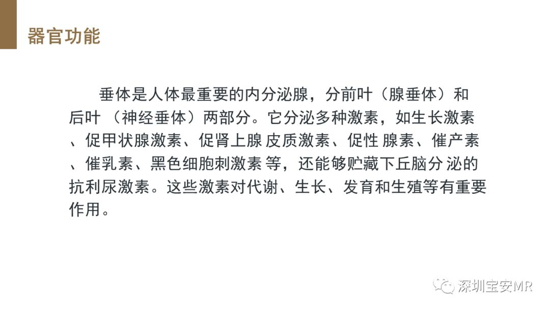 影像PPT - 【PPT】垂体磁共振影像解剖-2