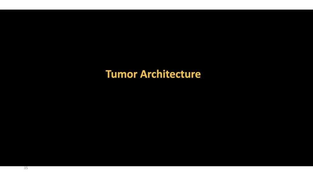 影像PPT - 【PPT】软组织肉瘤:评估治疗反应的影像学指南回顾-36