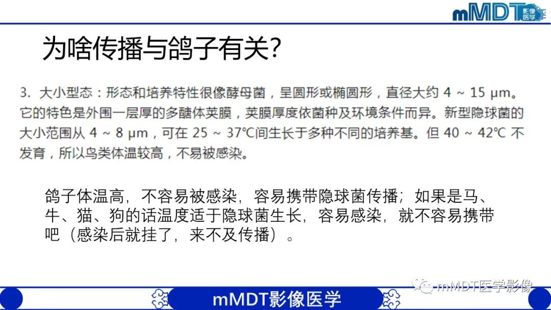 影像PPT - 【PPT】两例脑膜强化的隐球菌及综述-40