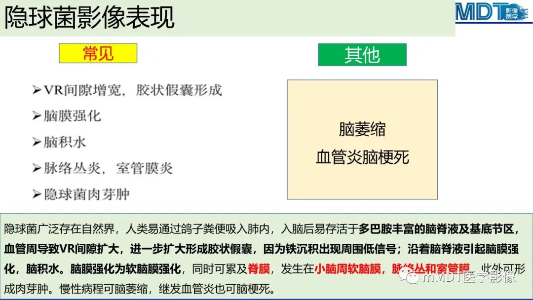 影像PPT - 【PPT】两例脑膜强化的隐球菌及综述-61