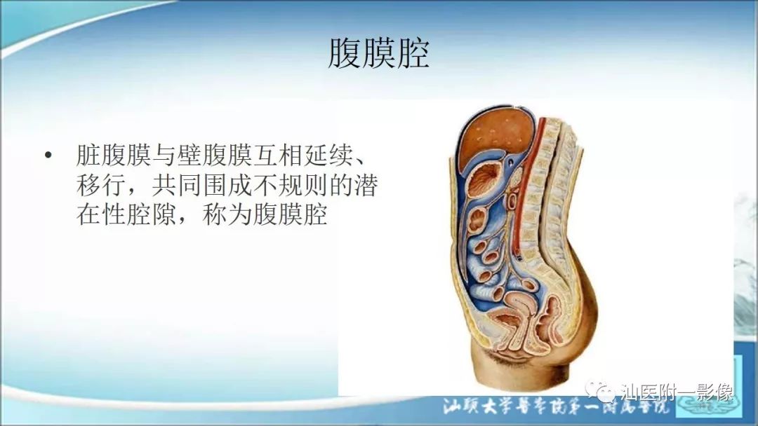 影像PPT - 【PPT】上腹囊性病变影像学分析-4