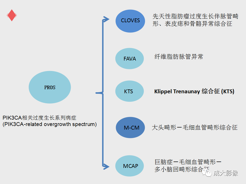 影像PPT - 【PPT】Klippel Trenaunay综合征-4