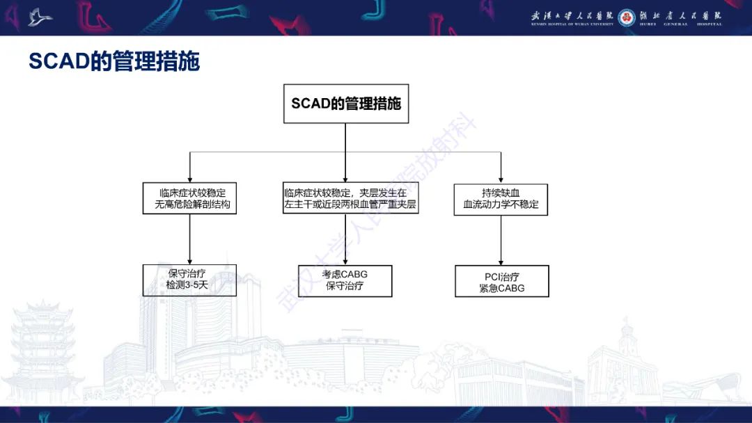 影像PPT - 【PPT】自发性冠状动脉夹层影像诊断-21